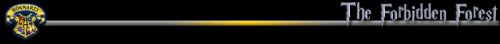 forbiddenforestdivider