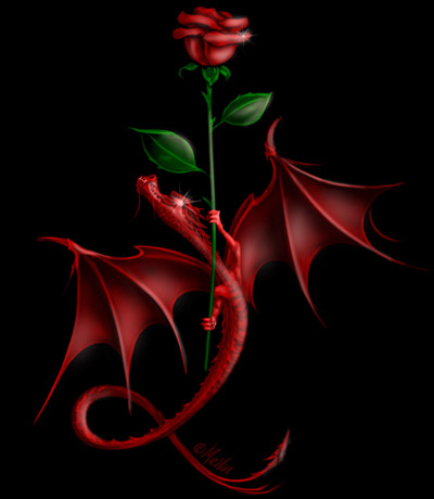 redrosedragonmain