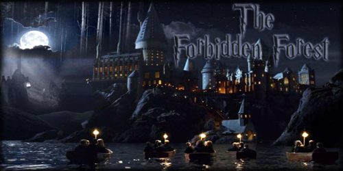 theforbiddenforest